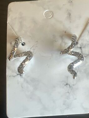 Silver Snake Hoop Earrings – Women Jewelry